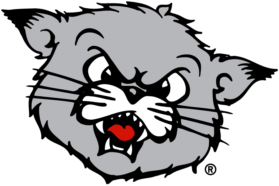 Cincinnati Bearcats 1990-2005 Partial Logo iron on transfers for clothing...